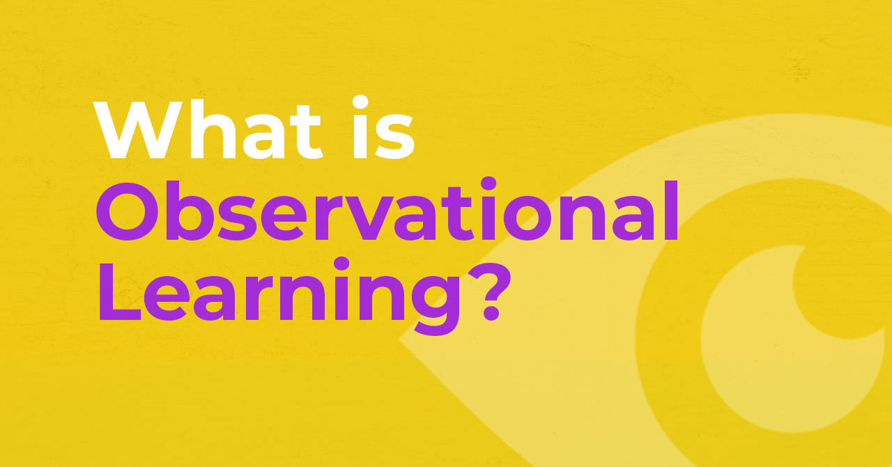 What Is Observational Learning in Higher Education?